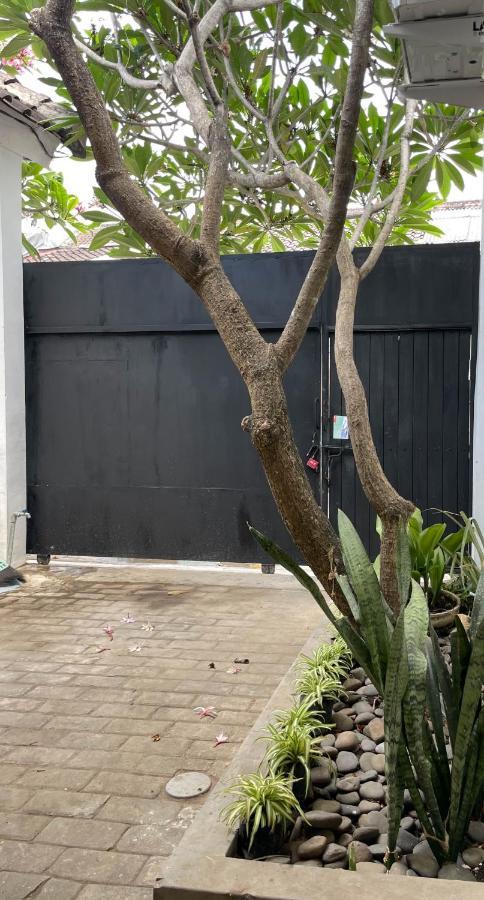 Chic And Cozy Studio Canggu Екстериор снимка